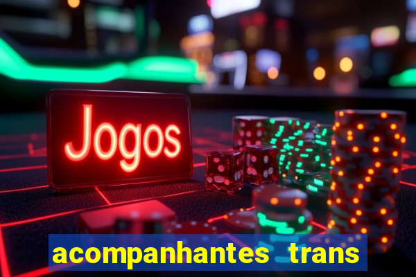 acompanhantes trans baixada fluminense